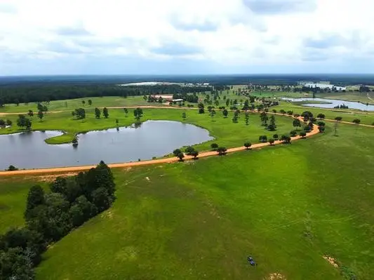 Lot 234 Lakeland Ranch, Hillister, TX 77624 - #3