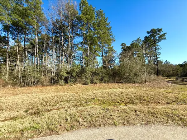 26601 Buchanan Court, Magnolia, TX 77355