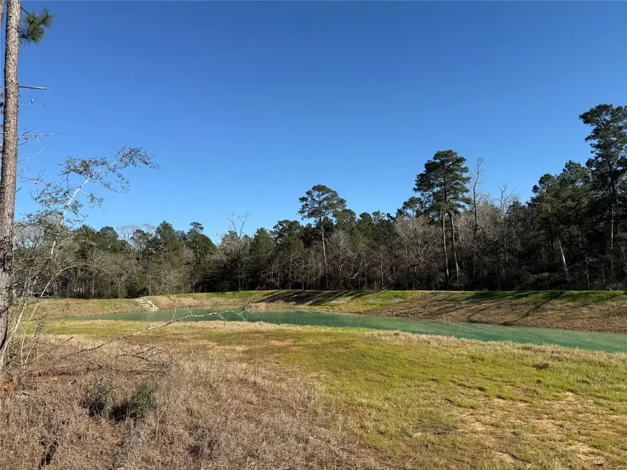 26601 Buchanan Court, Magnolia, TX 77355 - #2