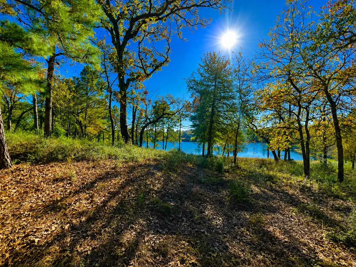 TR 112 Pr 1313, Centerville, TX 75833 - #1