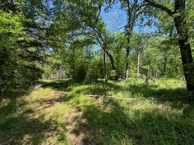 114 Brazil Boulevard, Huntsville, TX 77320 - #3