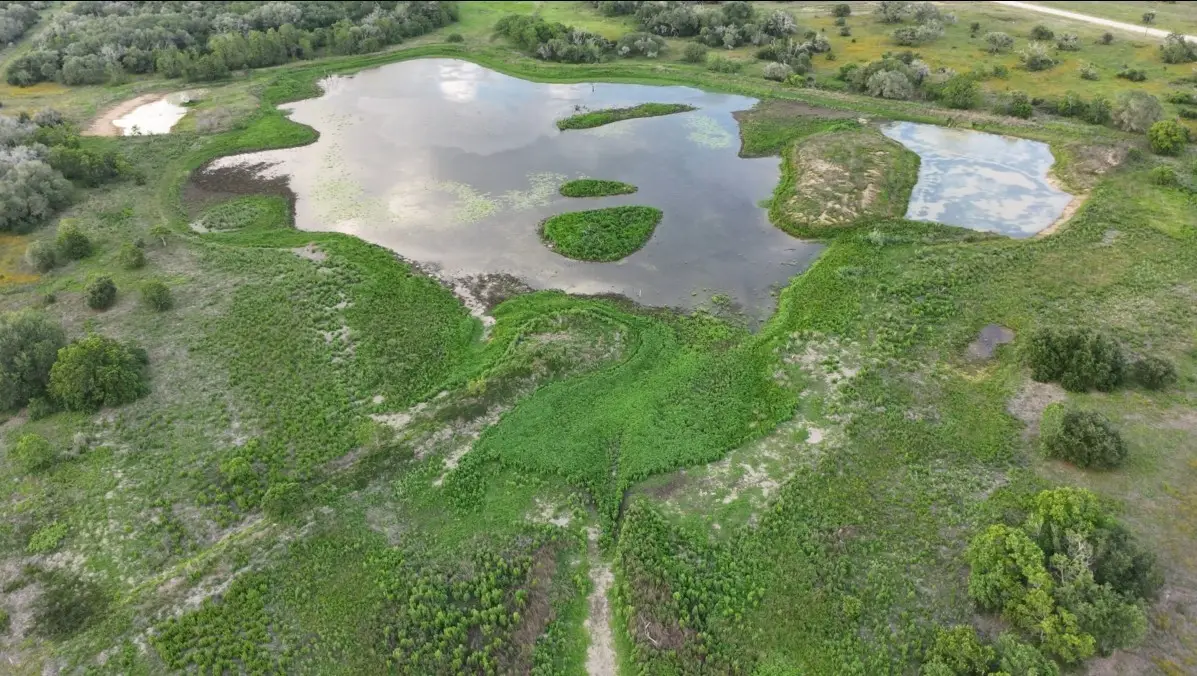 TBD Hwy 90a, Columbus, TX 78934 - #1