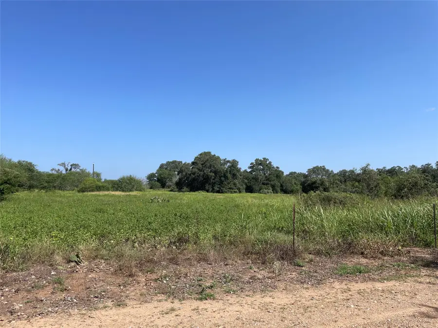 4 Ideus Road, Meyersville, TX 77974 - #3
