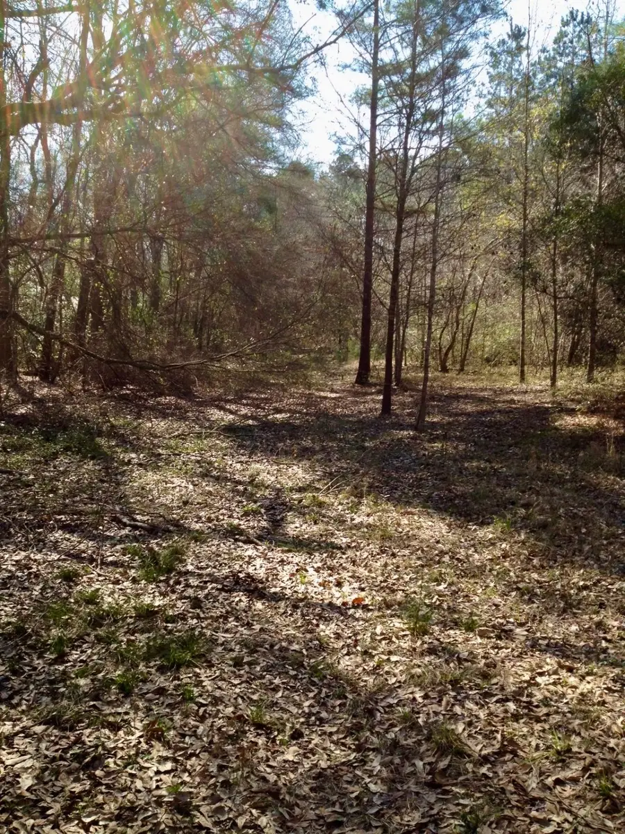 lot 175 County Road 3017c, Dayton, TX 77535 - Image #2