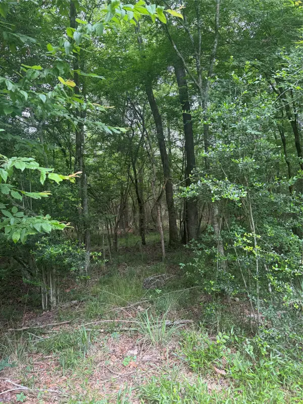 TBD Bilnoski Road, Willis, TX 77378