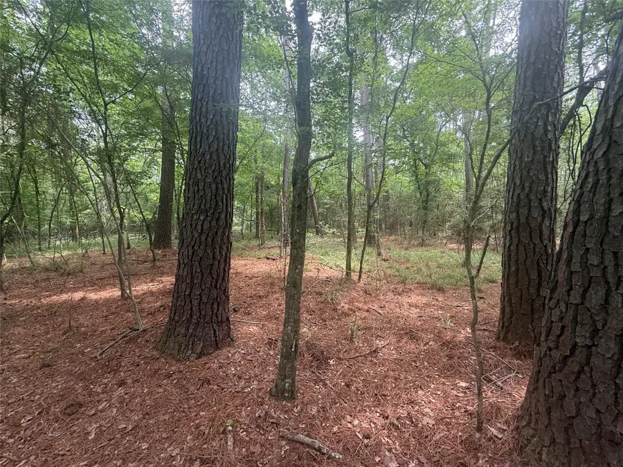 TBD Bilnoski Road, Willis, TX 77378 - #2