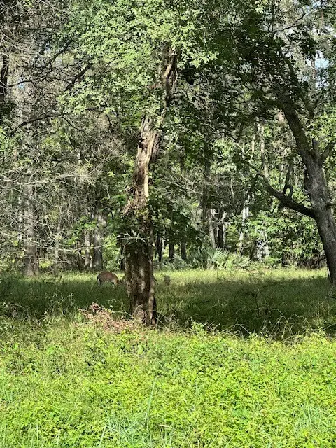 TBD Walker Dr, Cleveland, TX 77327 - Image #2