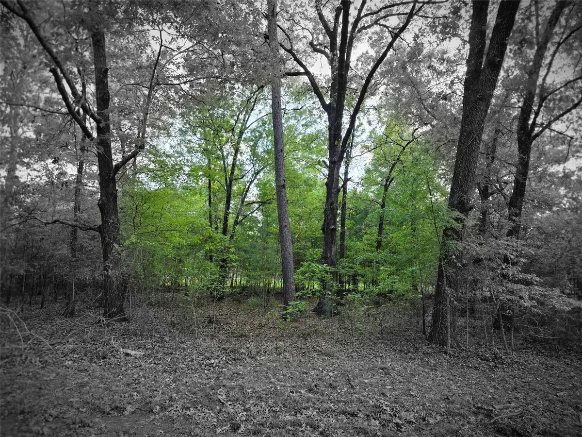 TBD Lot 25 Bending Oaks Lane, Livingston, TX 77351 - #1