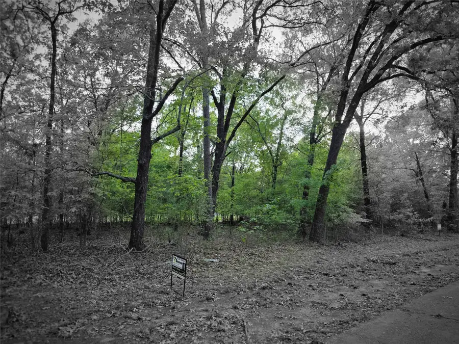 TBD Lot 25 Bending Oaks Lane, Livingston, TX 77351 - #3