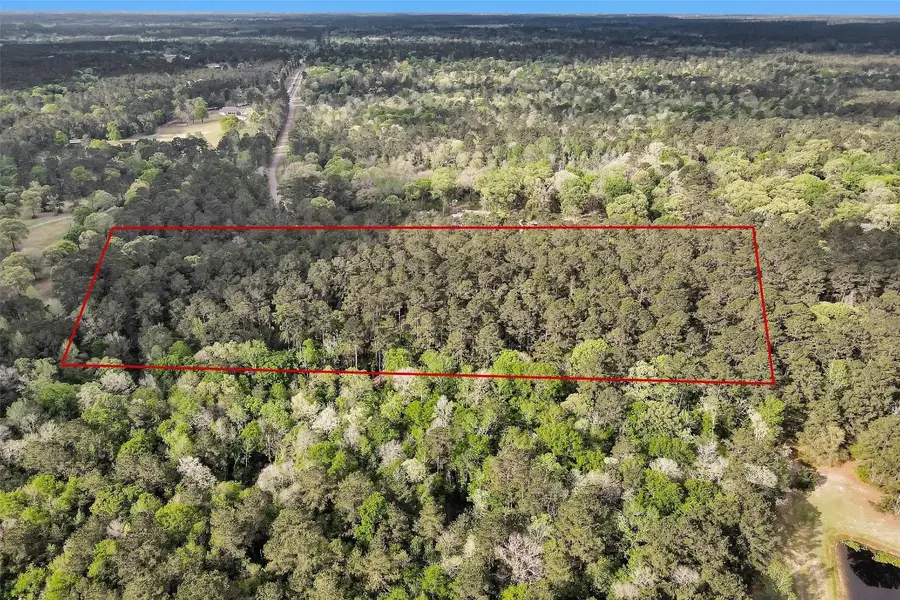 TBD Cedar Lane Loop, Willis, TX 77378 - #3