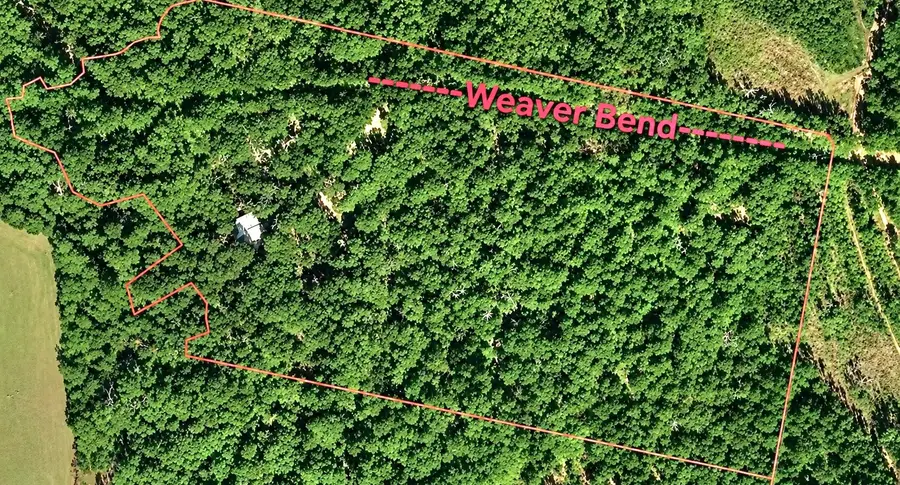 4499 Weaver Bend Road, Huntington, TX 75949 - #2