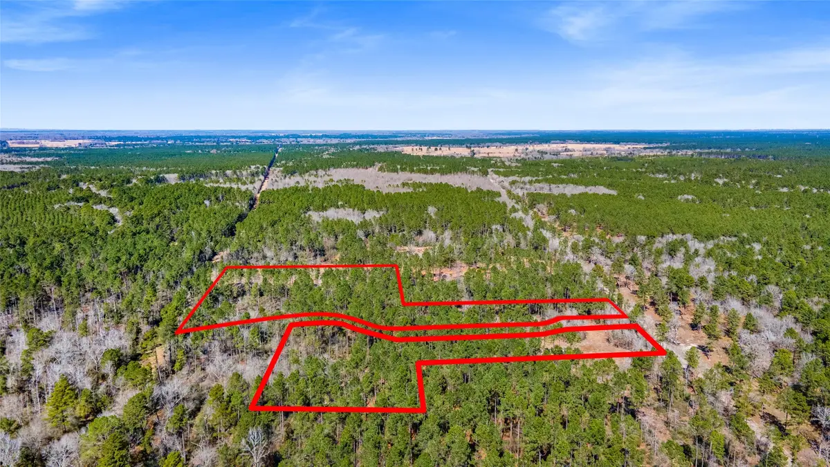 TBD Bo Brown, Trinity, TX 75862 - #1