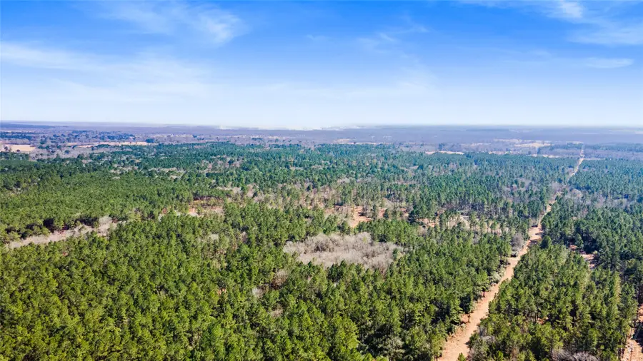 TBD Bo Brown, Trinity, TX 75862 - #2