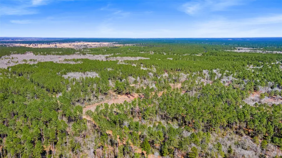 TBD Bo Brown, Trinity, TX 75862 - #3