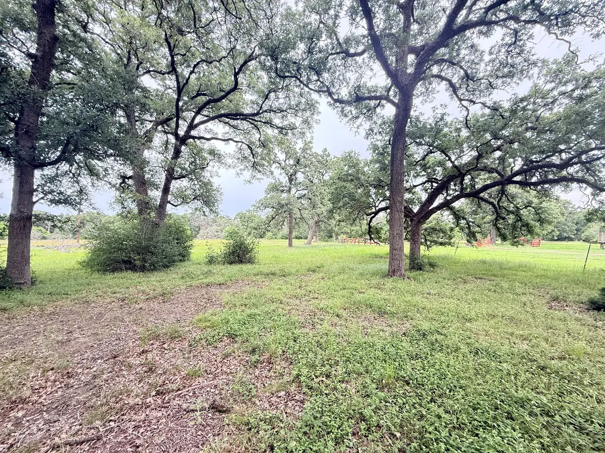 TBD Wannabe Road, Bryan, TX 77808 - #1