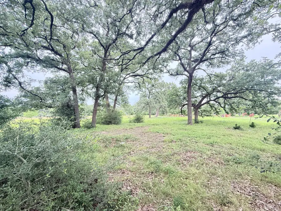 TBD Wannabe Road, Bryan, TX 77808 - #2