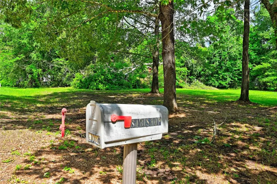 81 E Bishop Road, Point Blank, TX 77364 - #3