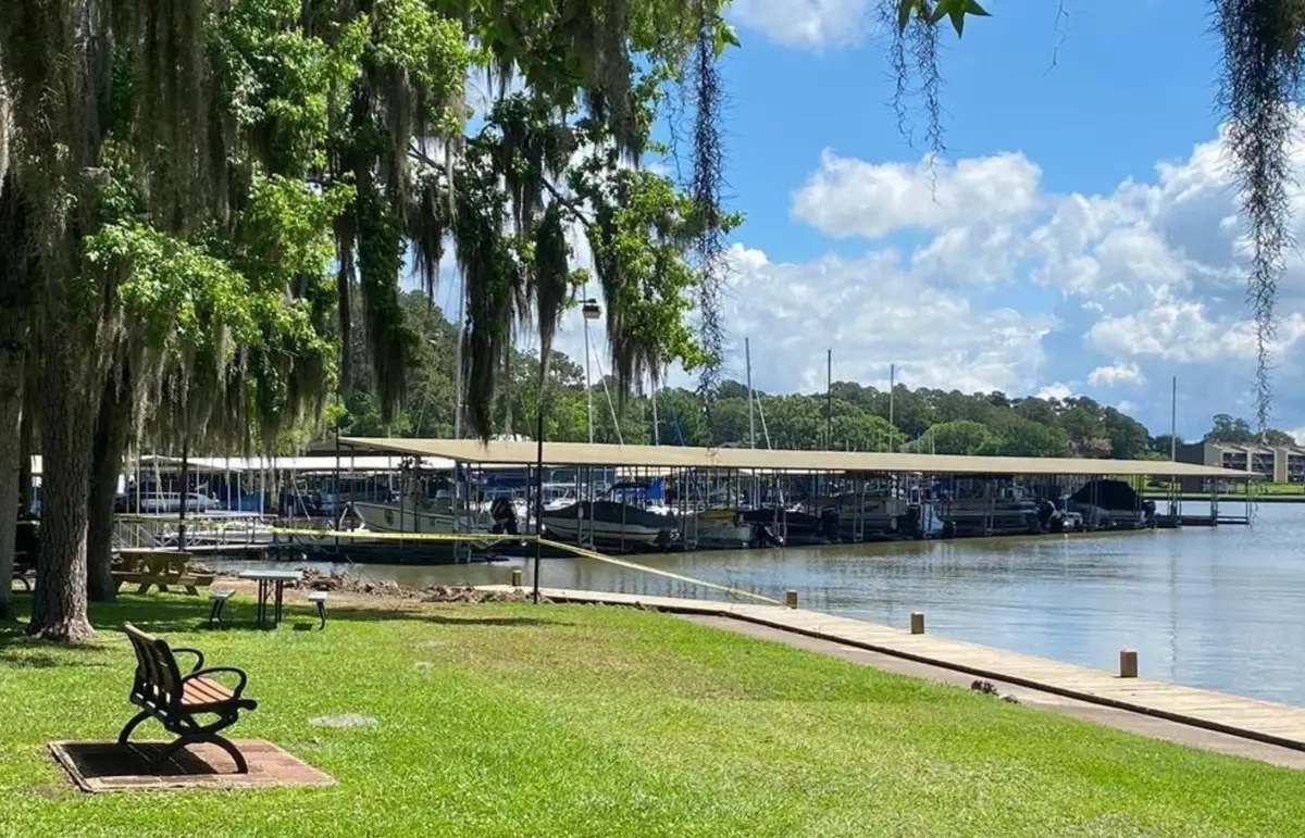 43 Shetland Lane, Coldspring, TX 77331 - Image #1