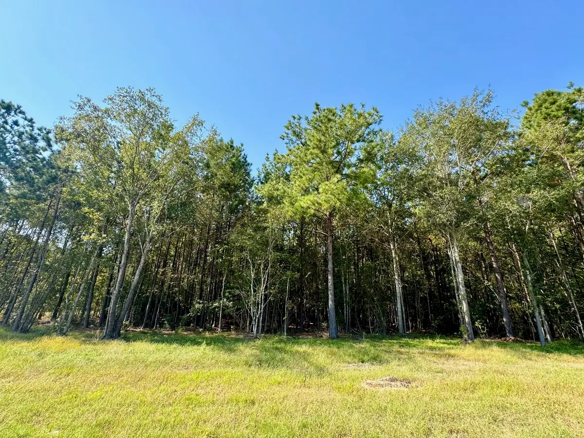 TBD Stonebrook Drive, Livingston, TX 77351 - #1