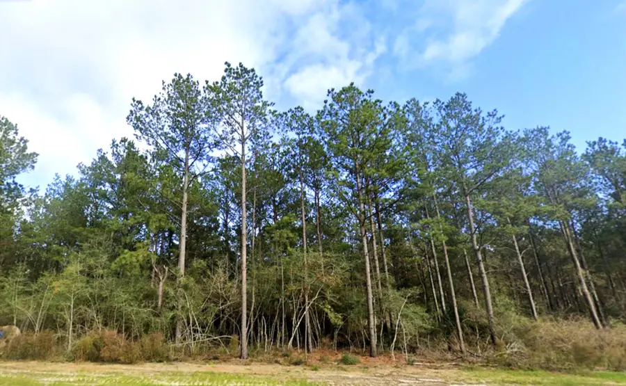 15588 Intrepid Lane, Willis, TX 77378 - Image #2