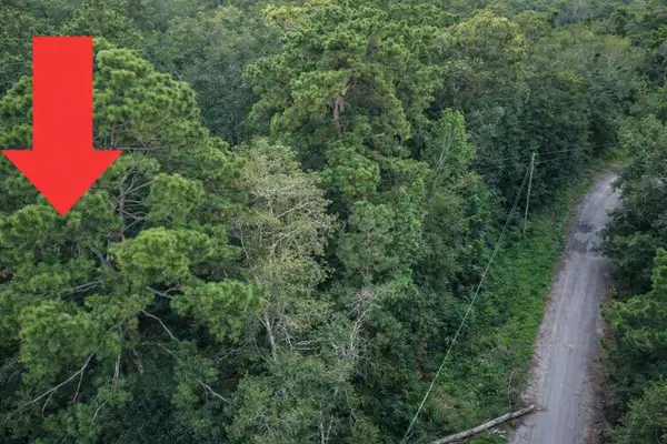 TBD North Essex Drive, Conroe, TX 77302