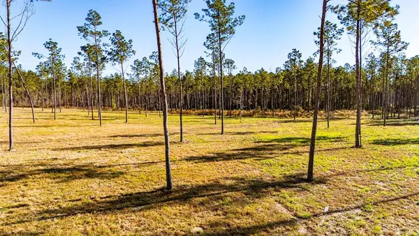 Lot 19 Big Buck Drive, Moscow, TX 75960