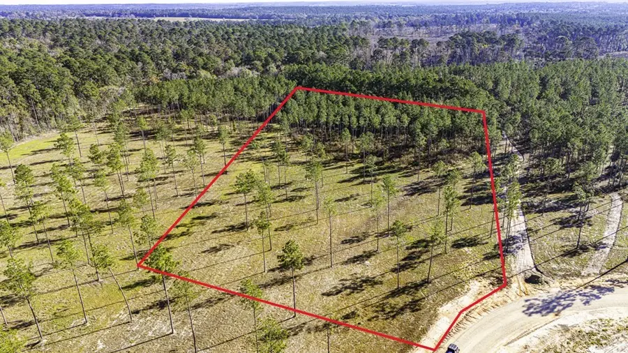 Lot 19 Big Buck Drive, Moscow, TX 75960 - #2