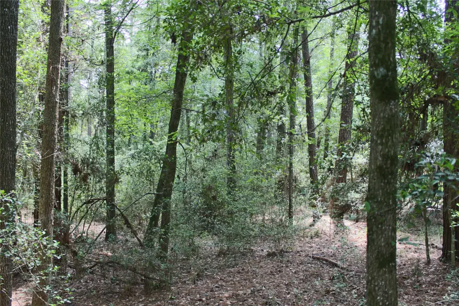 10362 Hunter Creek Lane, Conroe, TX 77304 - #3