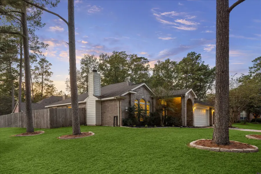 3203 Pine Hollow Circle, Montgomery, TX 77356 - #2