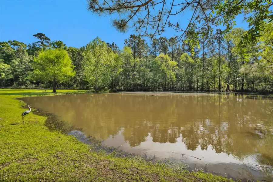 13713 Sarah Circle Drive, Willis, TX 77378 - #2