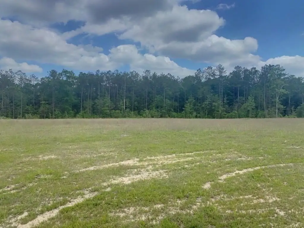 3051 County Road 1700, Warren, TX 77664 - #1