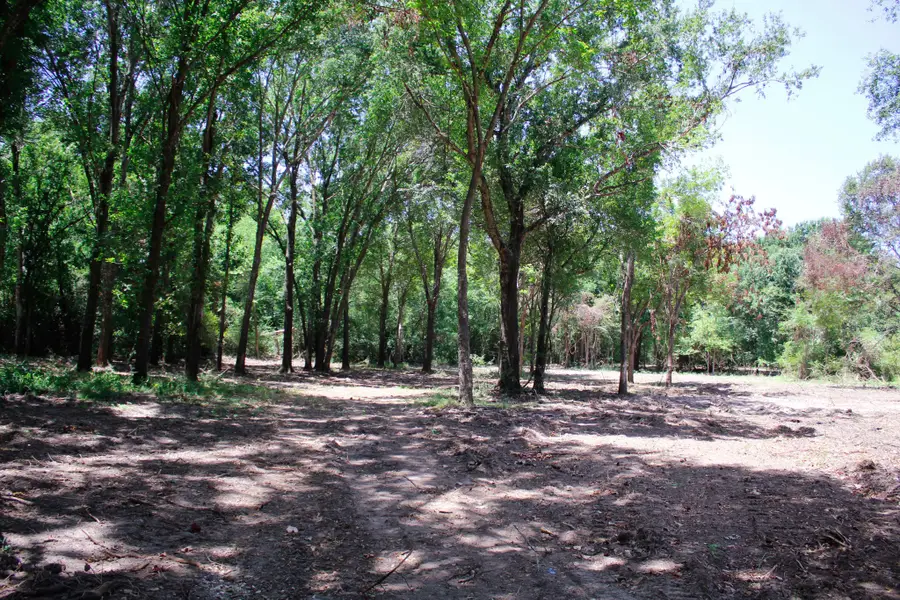 13 +/- Acres Greenbriar Road, Madisonville, TX 77864 - #3