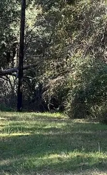 lot 24 Clark Road, Plantersville, TX 77363 - Image #1