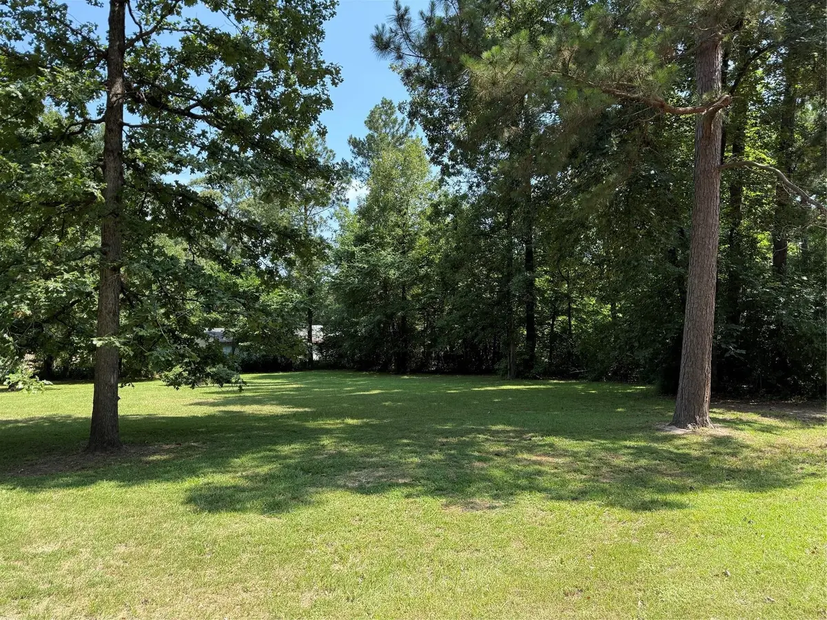 230 Hideout Circle, Livingston, TX 77351 - Image #1