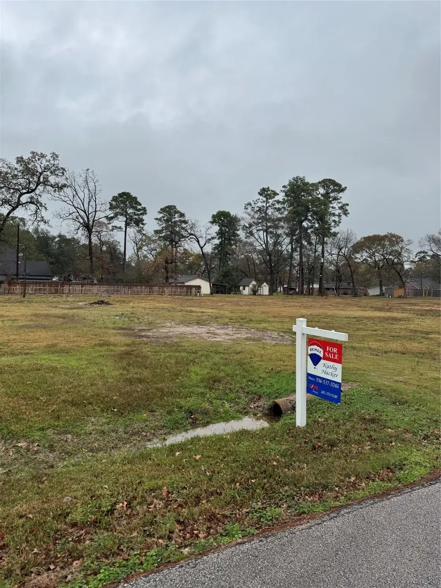 1619 Sungail Drive, Spring, TX 77386 - Image #3