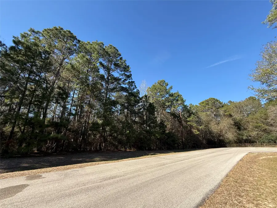 272303 Hitching Post Court, Magnolia, TX 77355 - #2