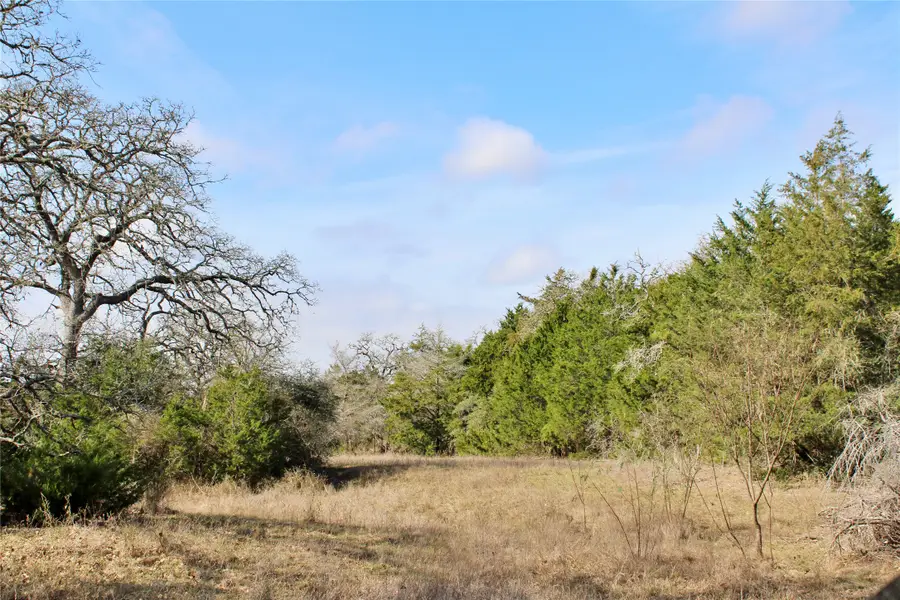 Parcel 5 Lobo Lane, Columbus, TX 78934 - Image #3