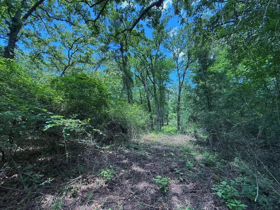TBD Cr 296, Oakwood, TX 75855 - #3