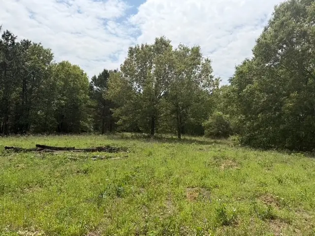 NA Cherokee Trail, Lovelady, TX 75851 - #1