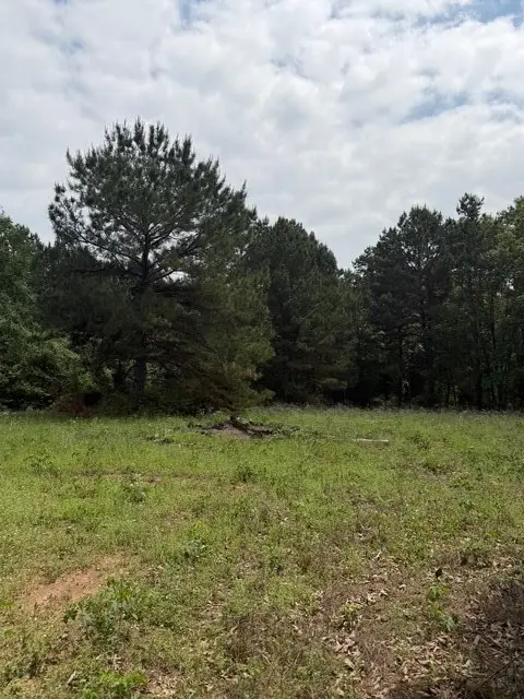 NA Cherokee Trail, Lovelady, TX 75851 - #3