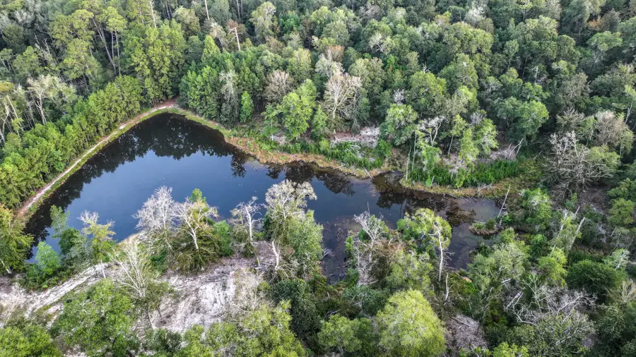 TBD Butler Road, Livingston, TX 77351 - #2