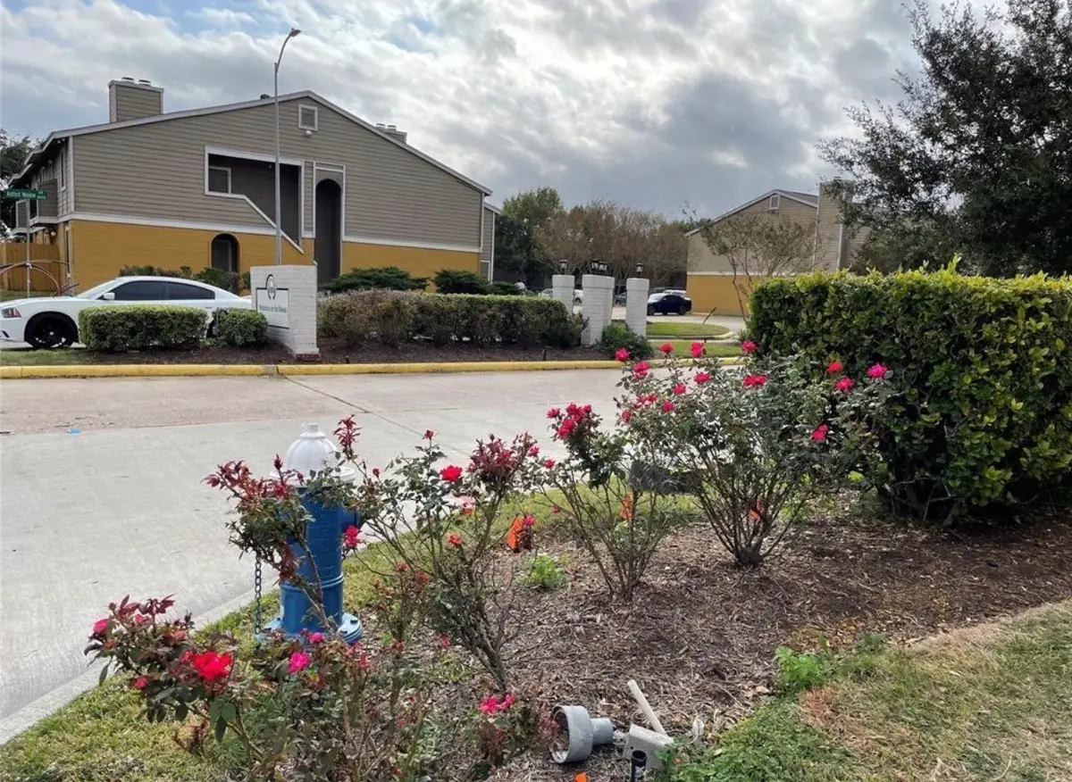 12619 Ashford Meadow Drive, Houston, TX 77082 - #1