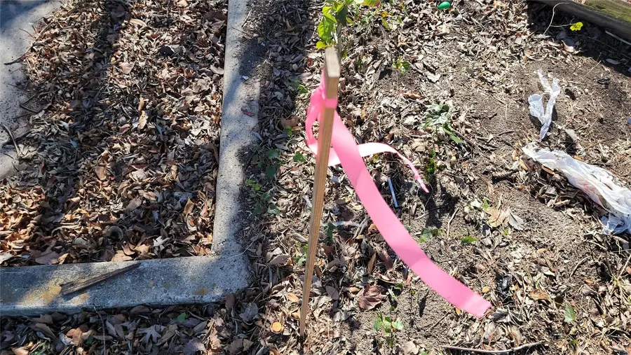 7051 Majestic Oaks Drive, Houston, TX 77088 - #3