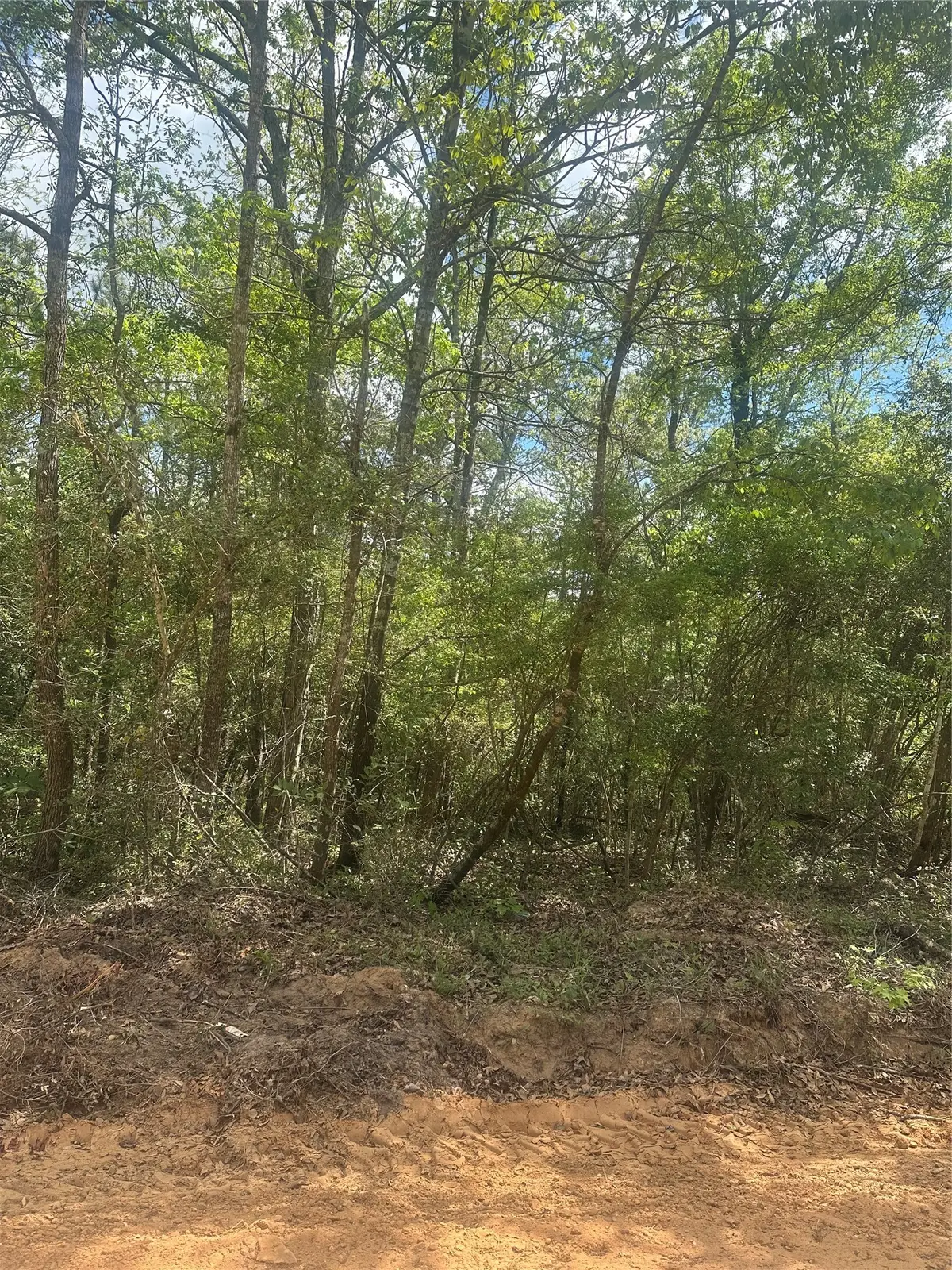 00 Patricia Drive, Livingston, TX 77351 - #1