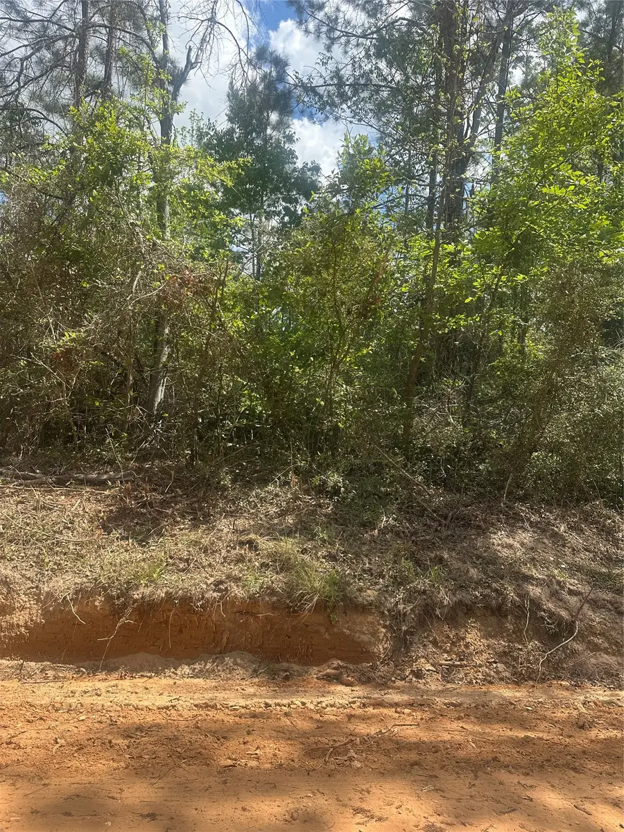 00 Patricia Drive, Livingston, TX 77351 - #3