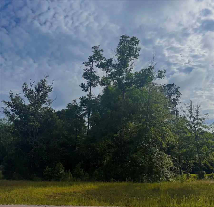 147 Eagle Run Road, Willis, TX 77378 - #3