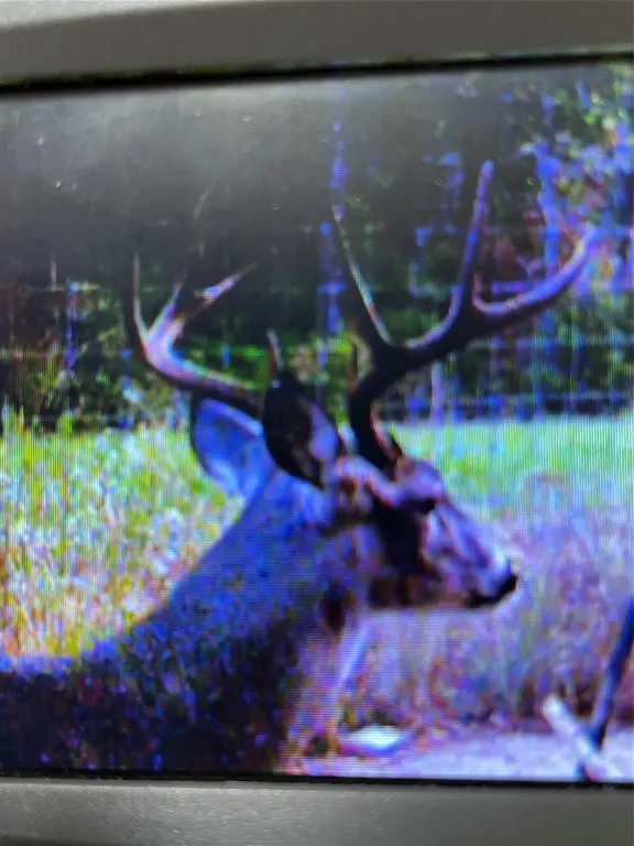 TBD County Road 482, Normangee, TX 77871 - #2