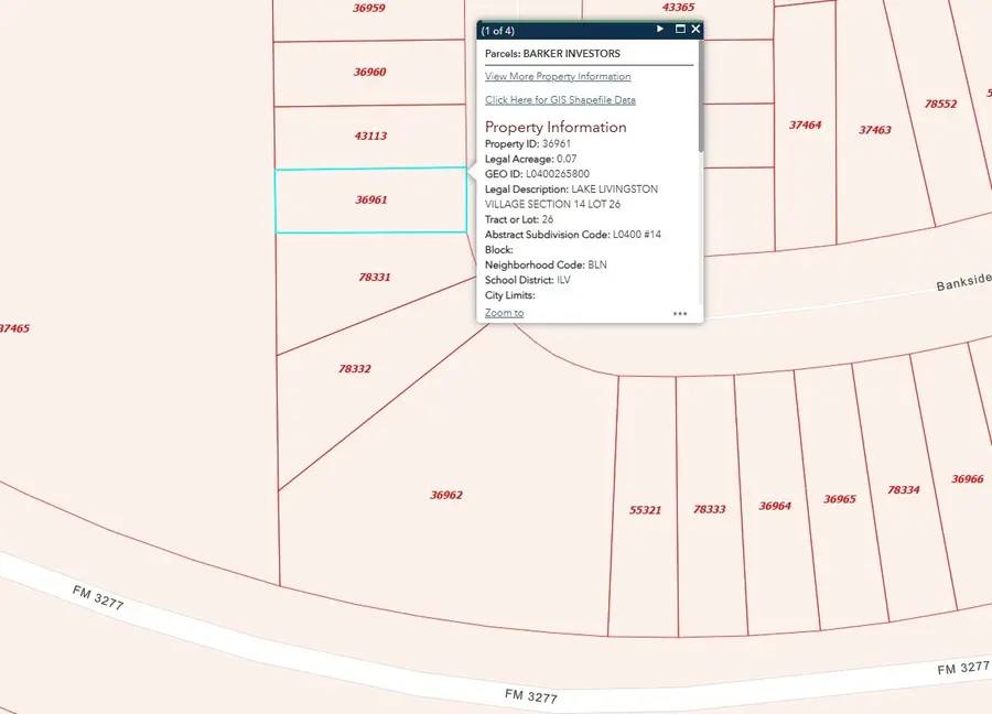 TBD Bank Side, Livingston, TX 77351 - Image #2