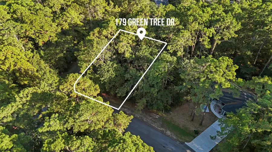 179 Green Tree Drive, Coldspring, TX 77331 - Image #3