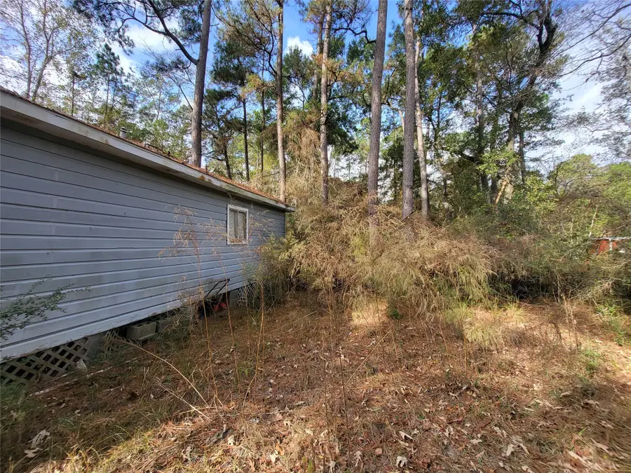 25319 Penguin Street, Magnolia, TX 77355 - Image #3